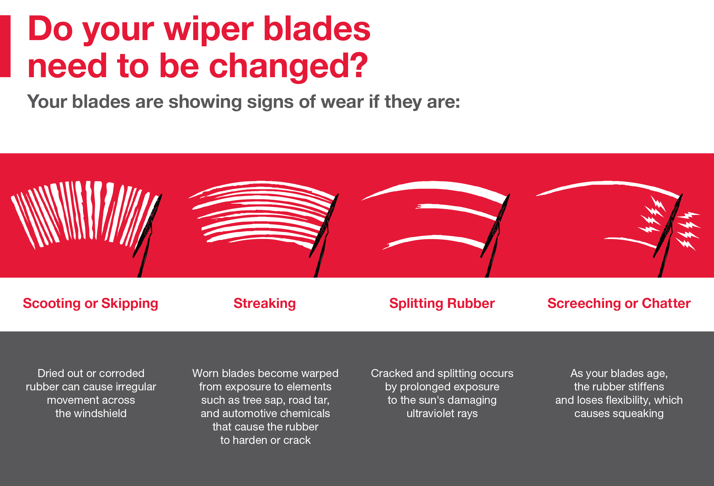 Do your wiper blades need to be changed | Panama City Toyota in Panama City FL