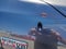 2013 Toyota TUNDRA 4X2 Grade