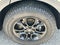 2025 Kia Sportage X-Pro