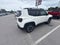 2017 Jeep Renegade Trailhawk
